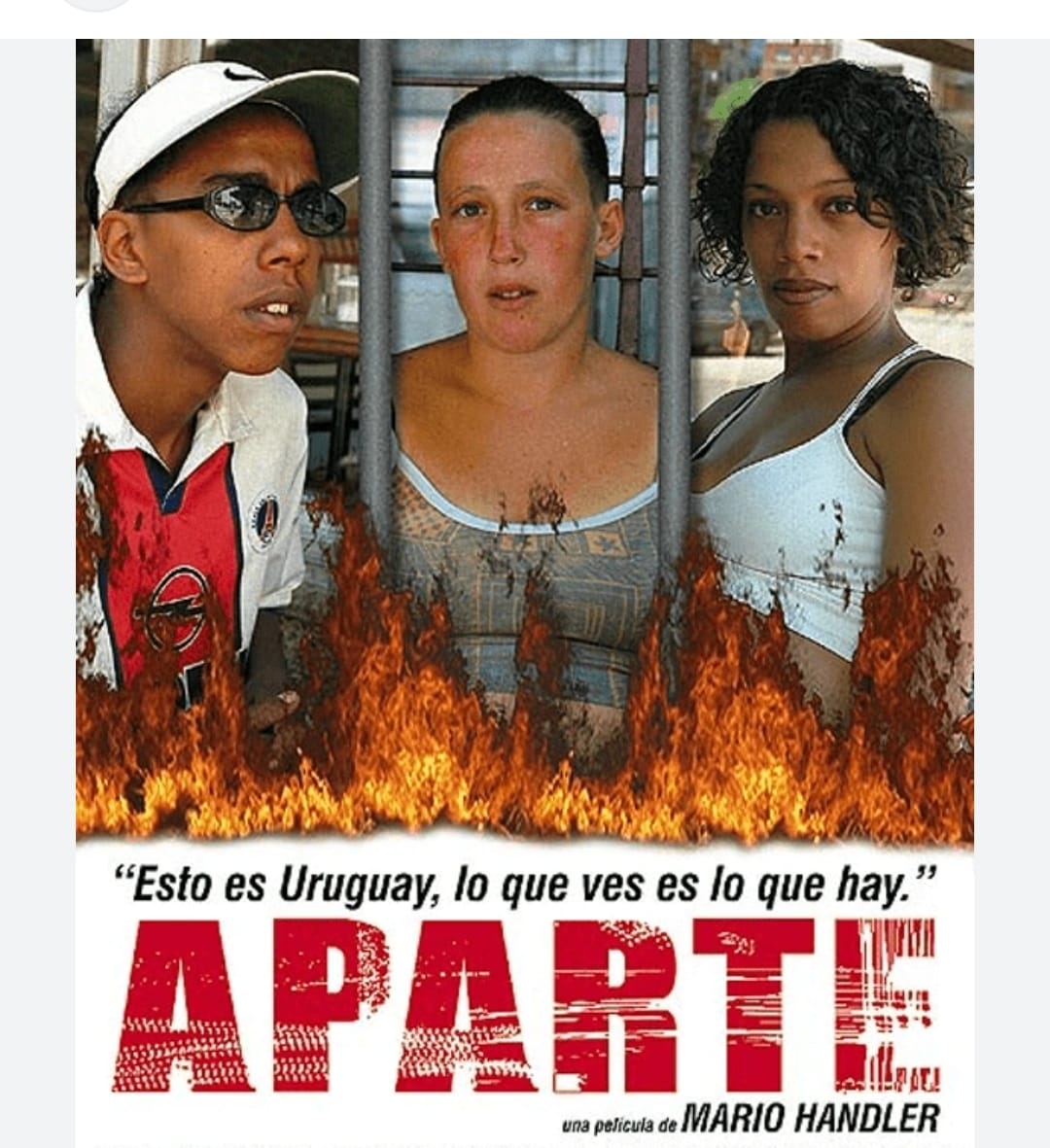 Imagen de WhatsApp 2025-08-14 a las 16.00.21_7edf7757